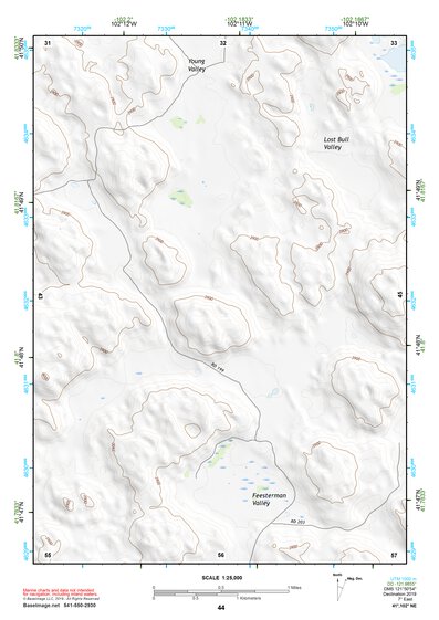 41102NE Page 44 Crescent Lake Topo Preview 1