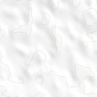 41102NE Page 62 Crescent Lake Topo Preview 2