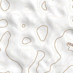 41102NE Page 77 Crescent Lake Topo Preview 3