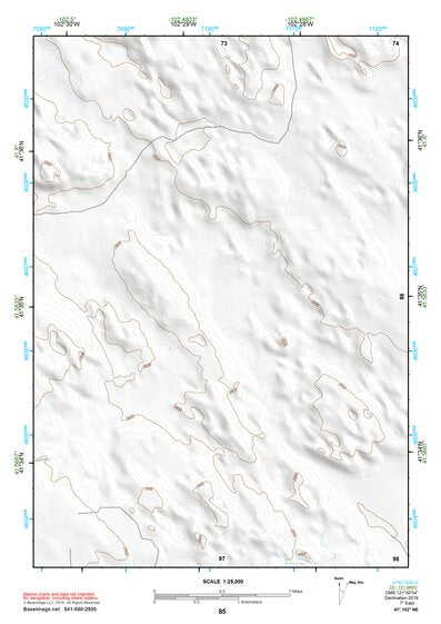 41102NE Page 85 Crescent Lake Topo Preview 1