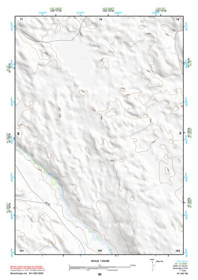 41102NE Page 90 Crescent Lake Topo Preview 1