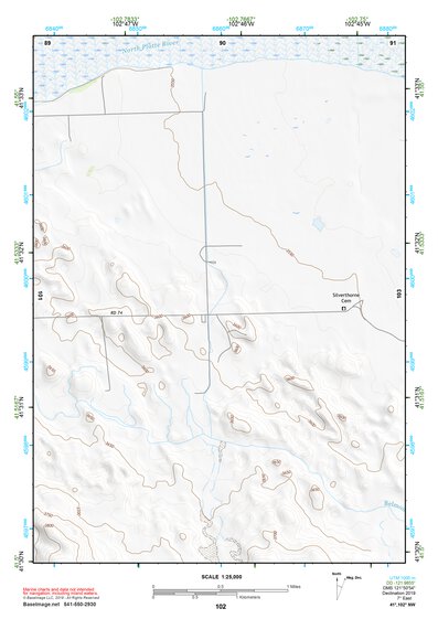 41102NW Page 102 Crescent Lake Topo Preview 1