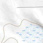 41102SW Page 60 Chappell Topo Preview 3