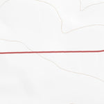 41104NE Page 83 Chugwater Topo Preview 2