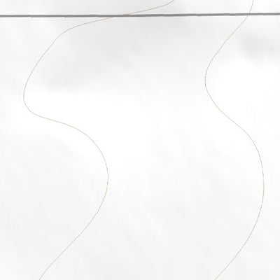 41104SE Page 89 Cheyenne Topo Preview 2