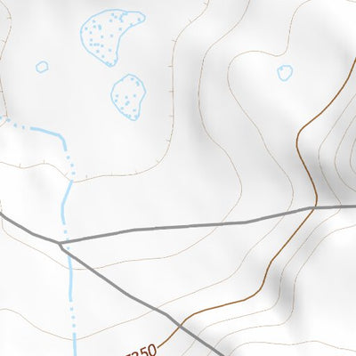 41105SW Page 4 Laramie Topo Preview 2