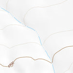 41106NE Page 47 Medicine Bow Topo Preview 2