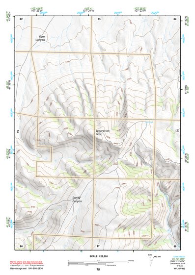 41107NE Page 75 Rawlins Topo Preview 1