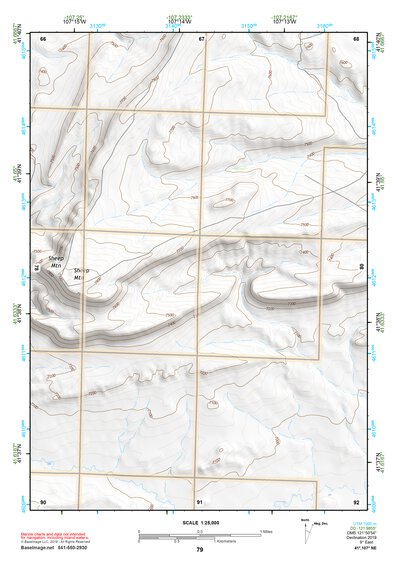 41107NE Page 79 Rawlins Topo Preview 1