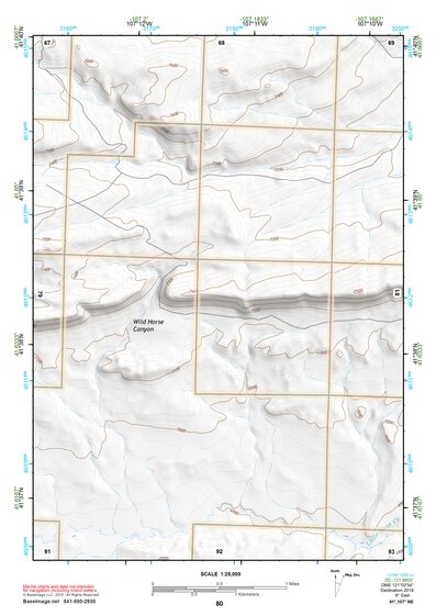 41107NE Page 80 Rawlins Topo Preview 1