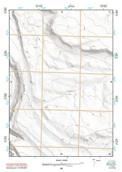 41107NE Page 82 Rawlins Topo Preview 1