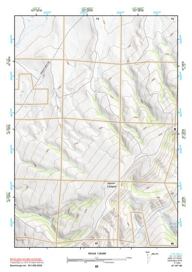41107NE Page 85 Rawlins Topo Preview 1