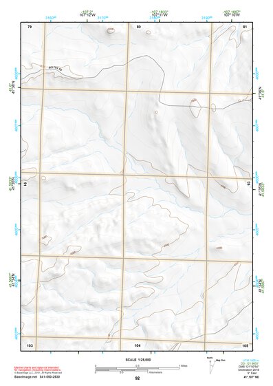 41107NE Page 92 Rawlins Topo Preview 1