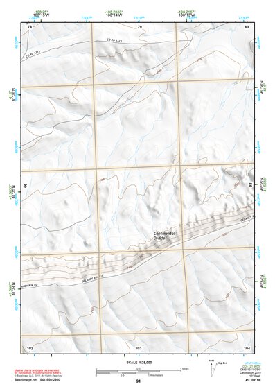 41108NE Page 91 Red Desert Basin Topo Preview 1