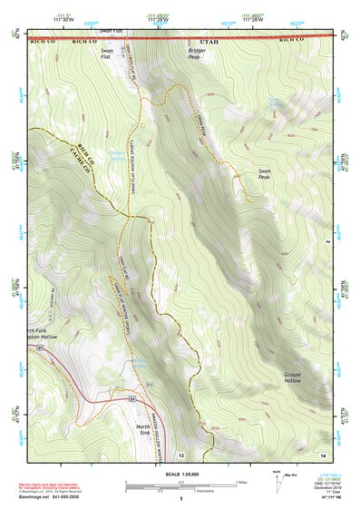 41111NE Page 1 Logan Topo Preview 1