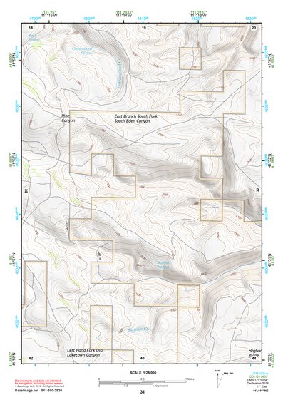 41111NE Page 31 Logan Topo Preview 1