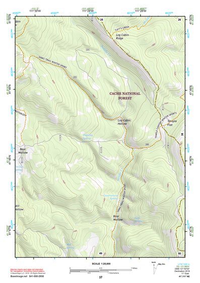 41111NE Page 37 Logan Topo Preview 1