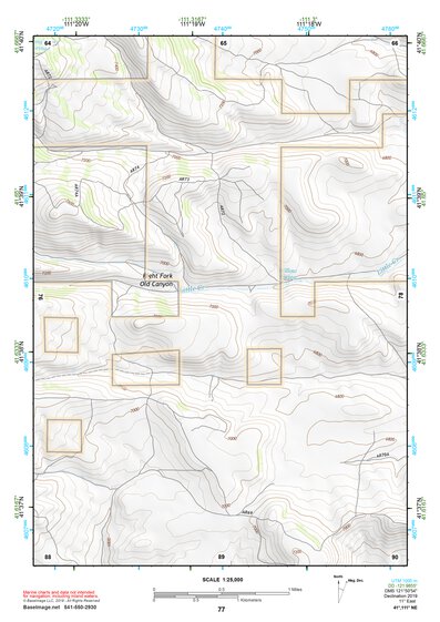 41111NE Page 77 Logan Topo Preview 1