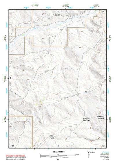 41111NE Page 90 Logan Topo Preview 1
