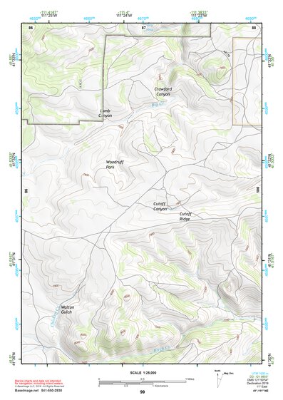 41111NE Page 99 Logan Topo Preview 1