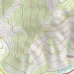 41111NW Page 45 Logan Topo Preview 2