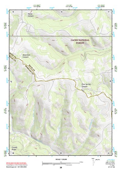 41111SE Page 28 Ogden Topo Preview 1