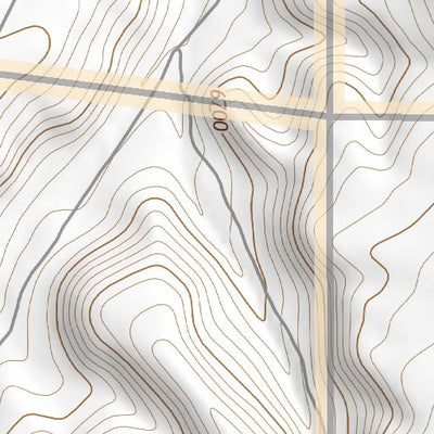 41111SE Page 35 Ogden Topo Preview 3