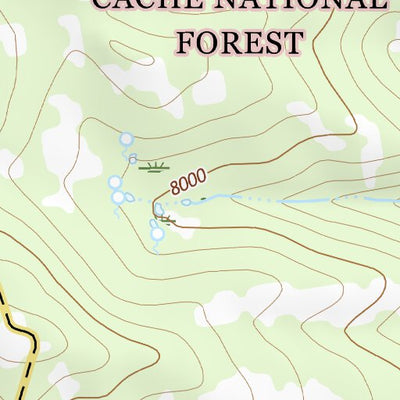41111SE Page 38 Ogden Topo Preview 2