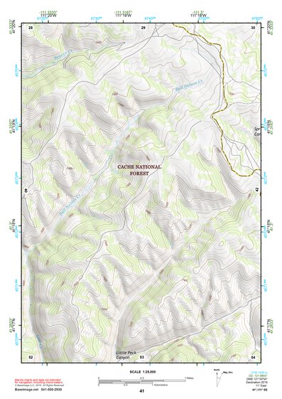 41111SE Page 41 Ogden Topo Preview 1