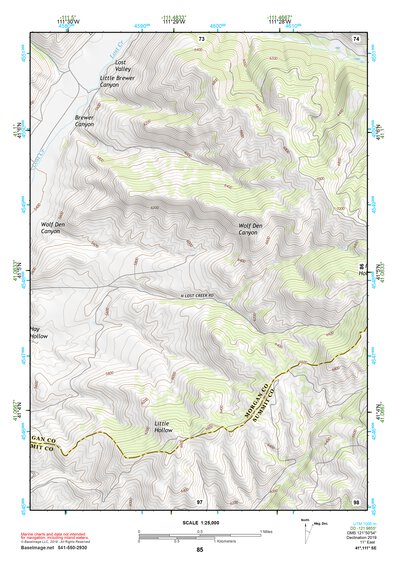 41111SE Page 85 Ogden Topo Preview 1