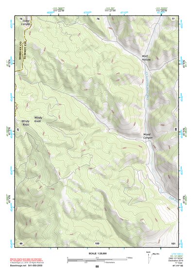 41111SE Page 88 Ogden Topo Preview 1