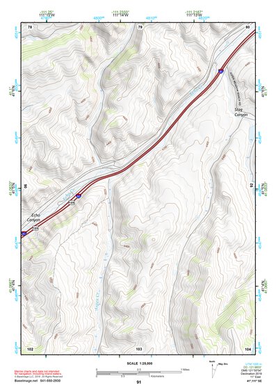 41111SE Page 91 Ogden Topo Preview 1