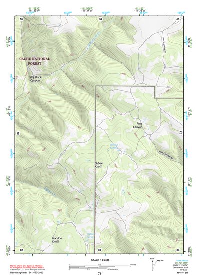 41111SW Page 71 Ogden Topo Preview 1