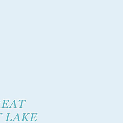 41112SW Page 3 Promontory Point Topo Preview 3