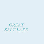 41112SW Page 41 Promontory Point Topo Preview 3