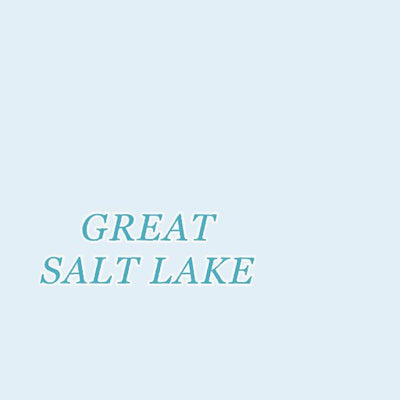 41112SW Page 41 Promontory Point Topo Preview 3