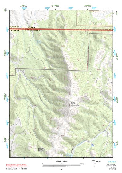 41113NE Page 1 Grouse Creek Topo Preview 1