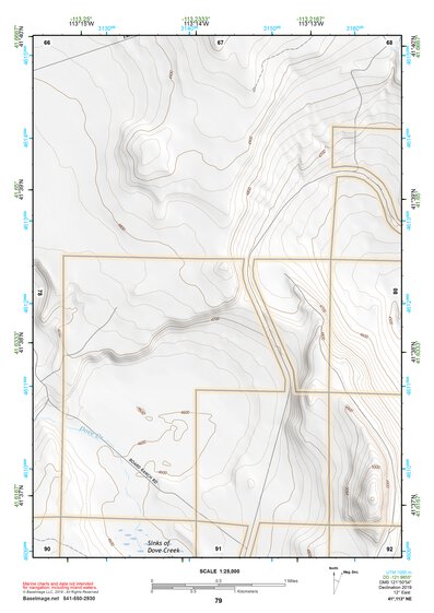 41113NE Page 79 Grouse Creek Topo Preview 1