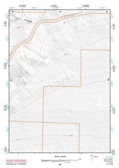 41113NE Page 99 Grouse Creek Topo Preview 1