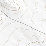 41114NE Page 50 Jackpot Topo Preview 2