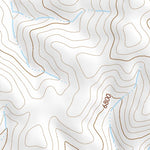 41114NE Page 77 Jackpot Topo Preview 2