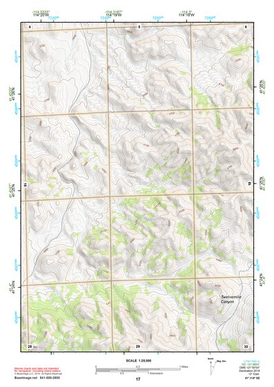 41114SE Page 17 Wells Topo Preview 1