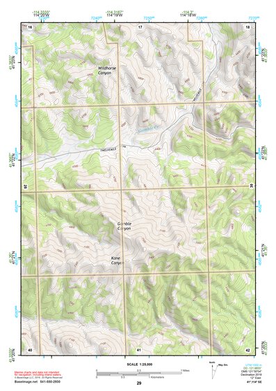 41114SE Page 29 Wells Topo Preview 1