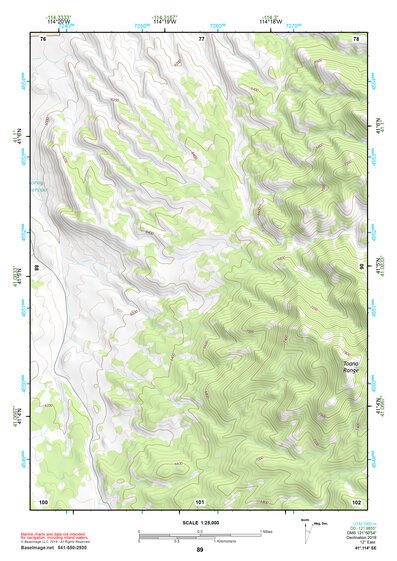 41114SE Page 89 Wells Topo Preview 1