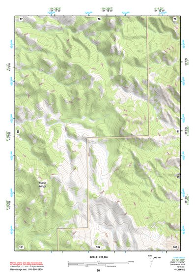 41114SE Page 90 Wells Topo Preview 1