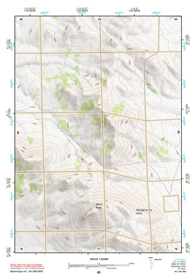 41114SW Page 65 Wells Topo Preview 1