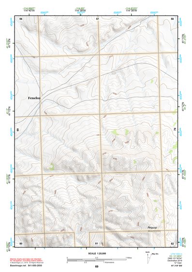 41114SW Page 69 Wells Topo Preview 1