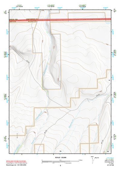 41115NE Page 1 Jarbidge Mountains Topo Preview 1