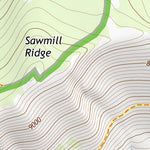 41115NE Page 28 Jarbidge Mountains Topo Preview 2