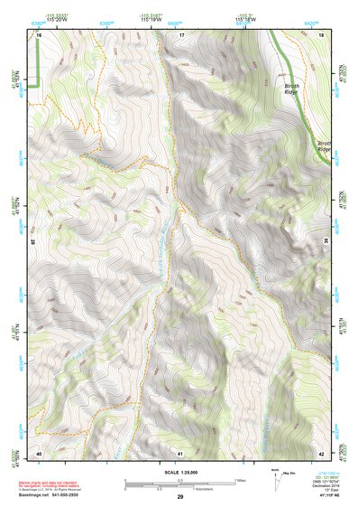 41115NE Page 29 Jarbidge Mountains Topo Preview 1